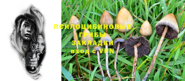 apvp Алексеевка