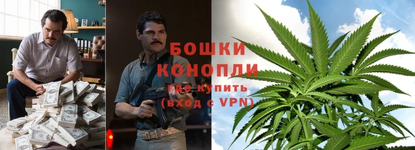 гидропоника Алзамай