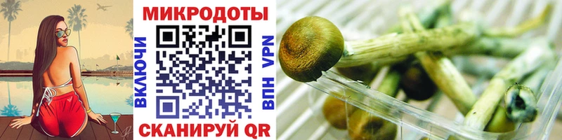 Псилоцибиновые грибы мухоморы  Оса 