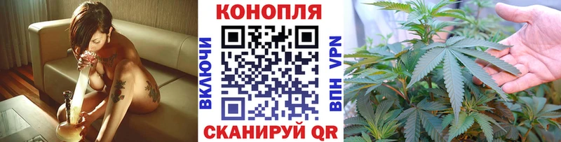 Шишки марихуана сатива  МЕГА вход  Оса  сколько стоит 